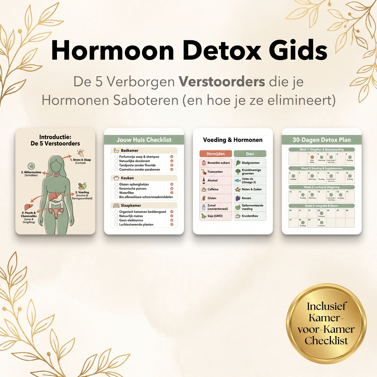 Hormon-Detox-Ratgeber